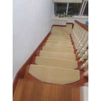 Stair Carpet N100